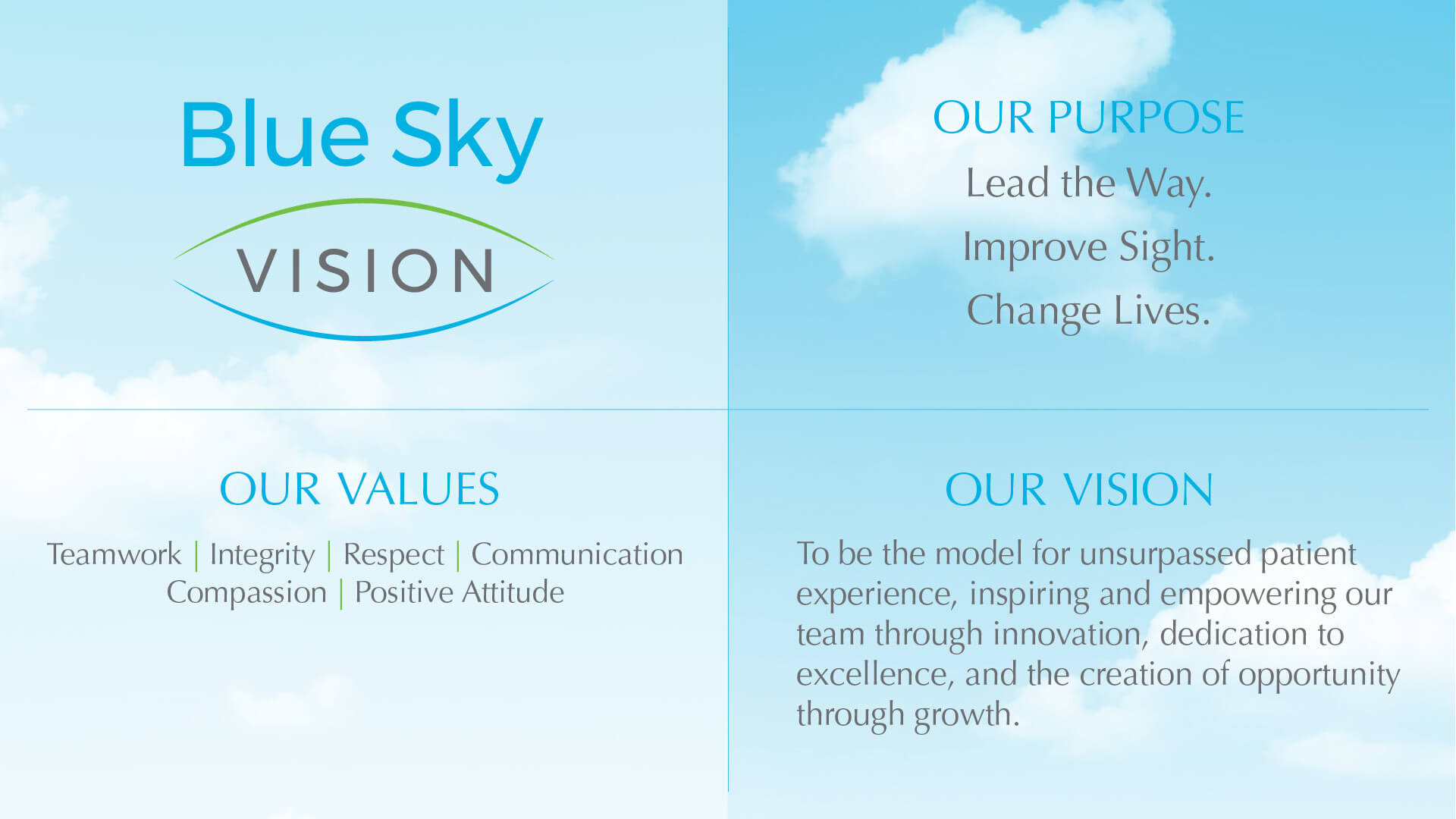 Blue Sky Vision about us graphic