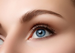 Closeup of an Eye